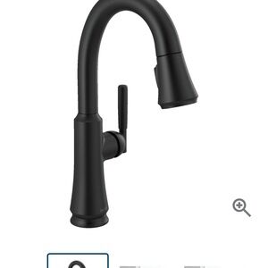 Delta Black Kitchen Faucet